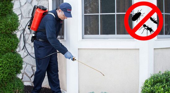 Kuşadası Karınca İlaçlama böcek ilaçlama ve haşere kontrolü — ilaclama-tr.com